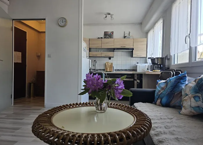 T2 A Deux Pas Des Thermes * Bagnoles de l'Orne Normandie